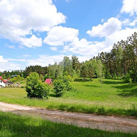 Domki wczasowe Mazury - Ferienhaus Masuren Dluzek Exterior foto