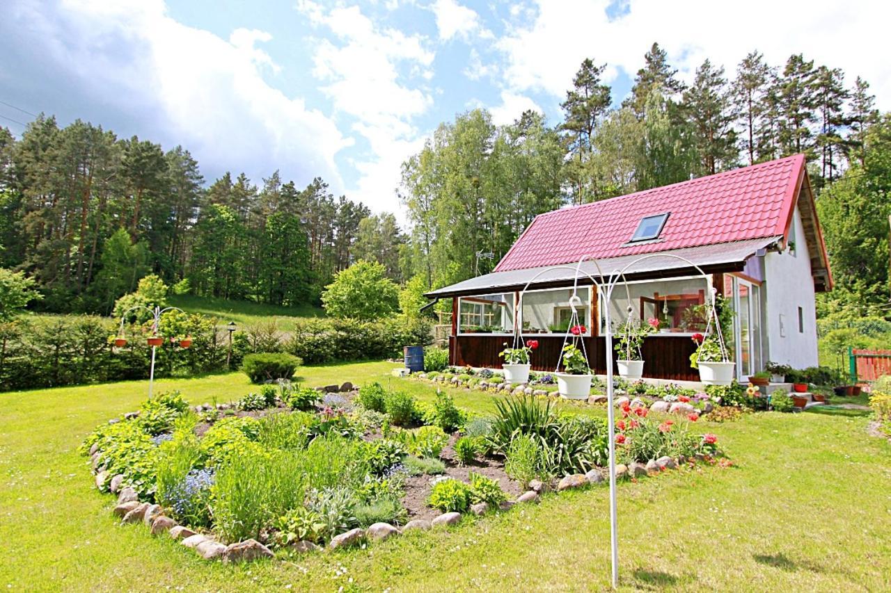 Domki wczasowe Mazury - Ferienhaus Masuren Dluzek Exterior foto
