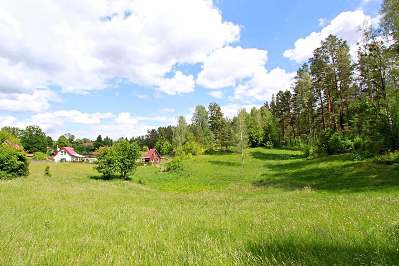Domki wczasowe Mazury - Ferienhaus Masuren Dluzek Exterior foto