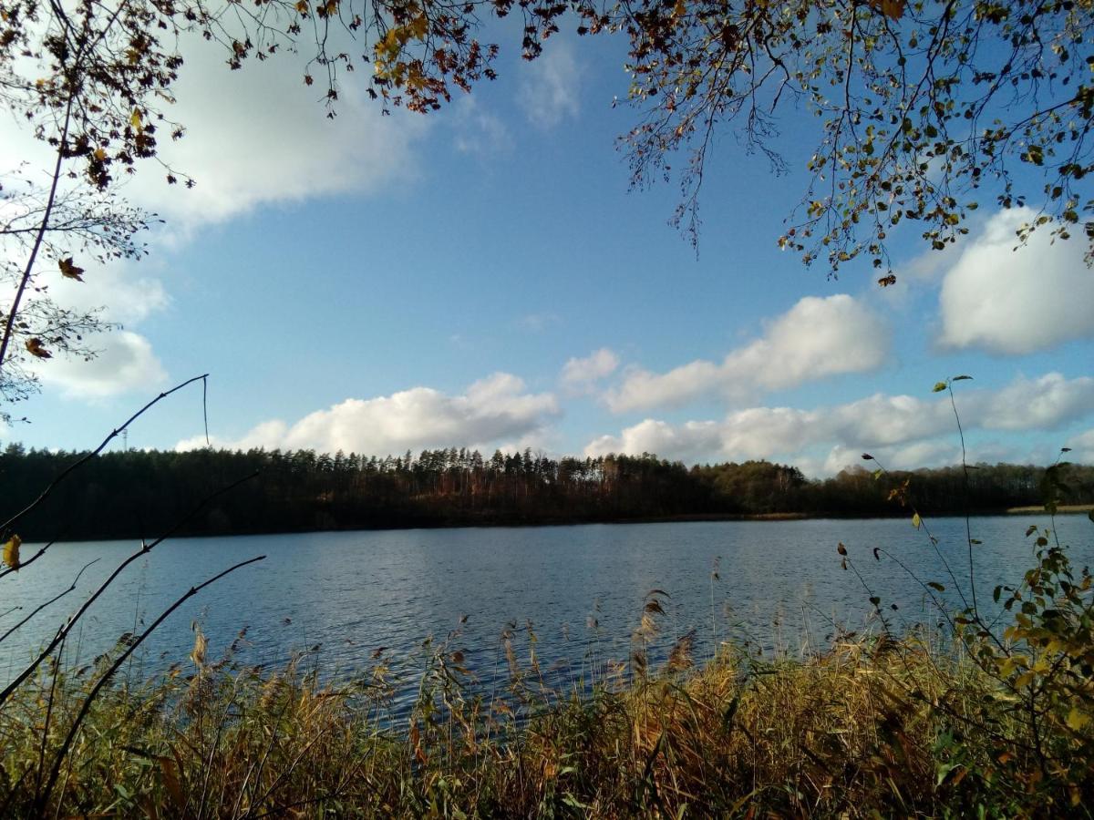 Domki wczasowe Mazury - Ferienhaus Masuren Dluzek Exterior foto